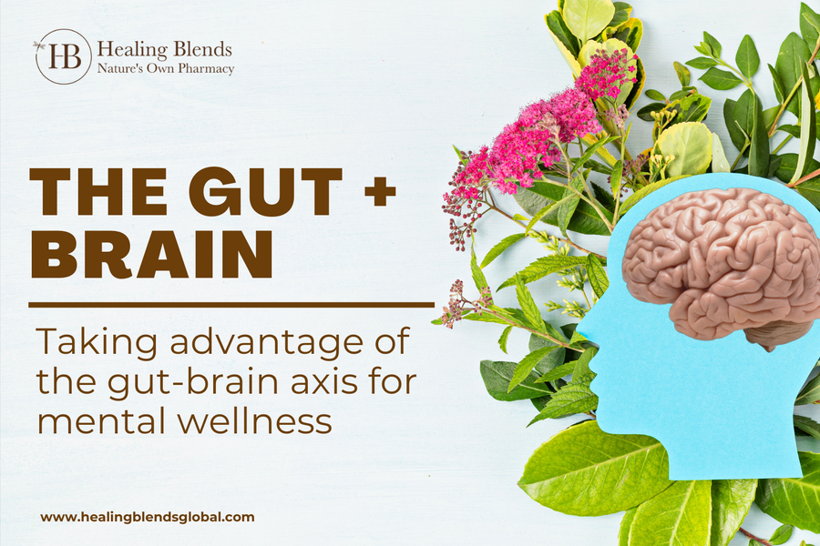 Taking Advantage of the Gut-brain Axis for Mental Wellness