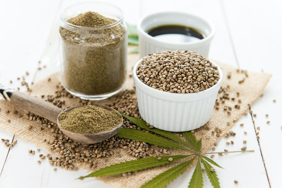 Health Benefits of Hemp Seeds: Everything You Wanted to Know