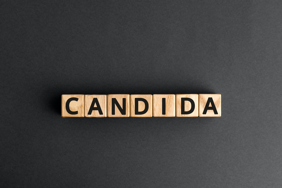Understanding Candida Yeast Overgrowth: Symptoms, Diagnosis, Treatment and Solutions