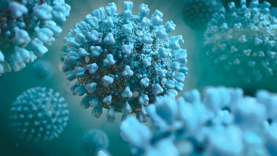 The Novel Coronavirus: Everything (Scientific) You Need to Know to Protect Yourself