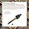 Liquid Chlorophyll Thumbnail 2